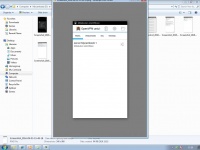 Capture 11